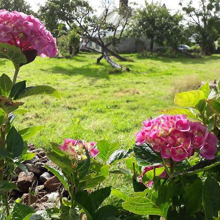 Terre De Reveries Maisoncelles-la-Jourdan Zewnętrze zdjęcie